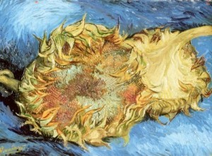 vincent-van-gogh vincent-van-gogh